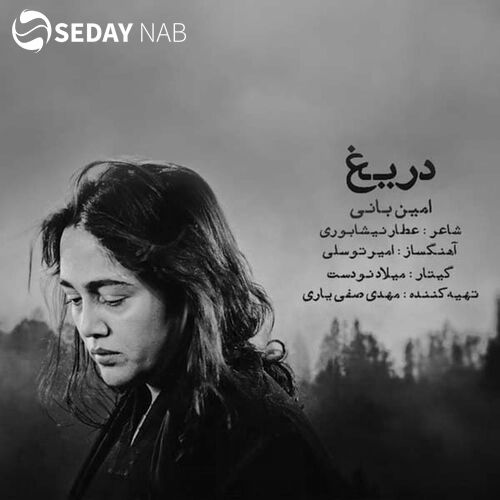 دانلود آهنگ جدید امین بانی به نام دریغ دانلود آهنگ جدید امین بانی به نام دریغ